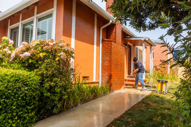 Best Residential Pressure Washing Services  in Seward, AK